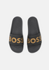HB Gold Logo Black Slides